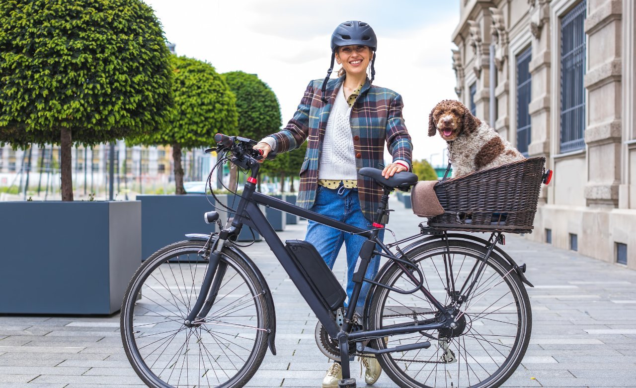 The Importance of Wicker Baskets in Our Daily Lives - Dog Lovers - ZIEGFELD Kids