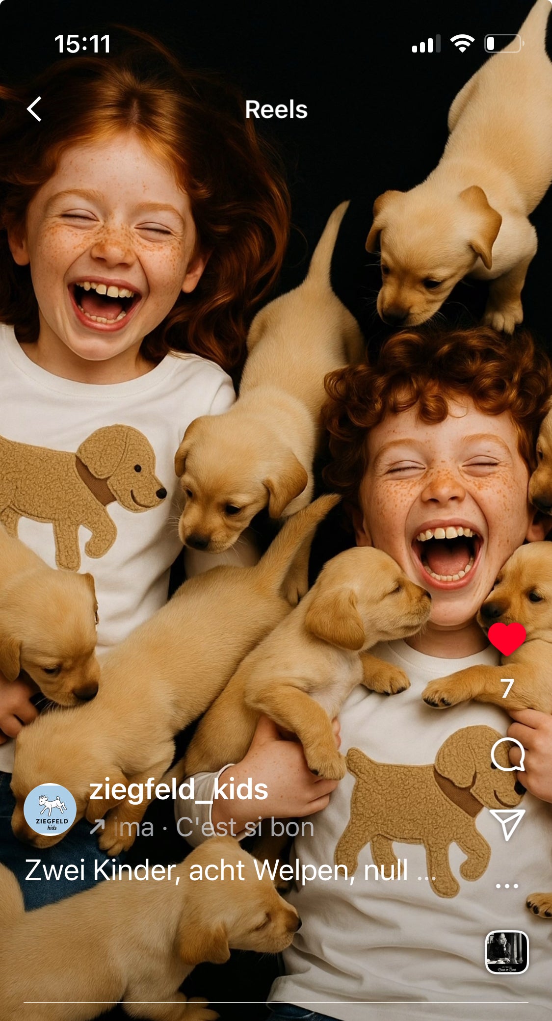 Hund BOBBY weiß Pulli Shirt Langarm, mit Teddyfell Applikation und Geheimtasche im Ohr