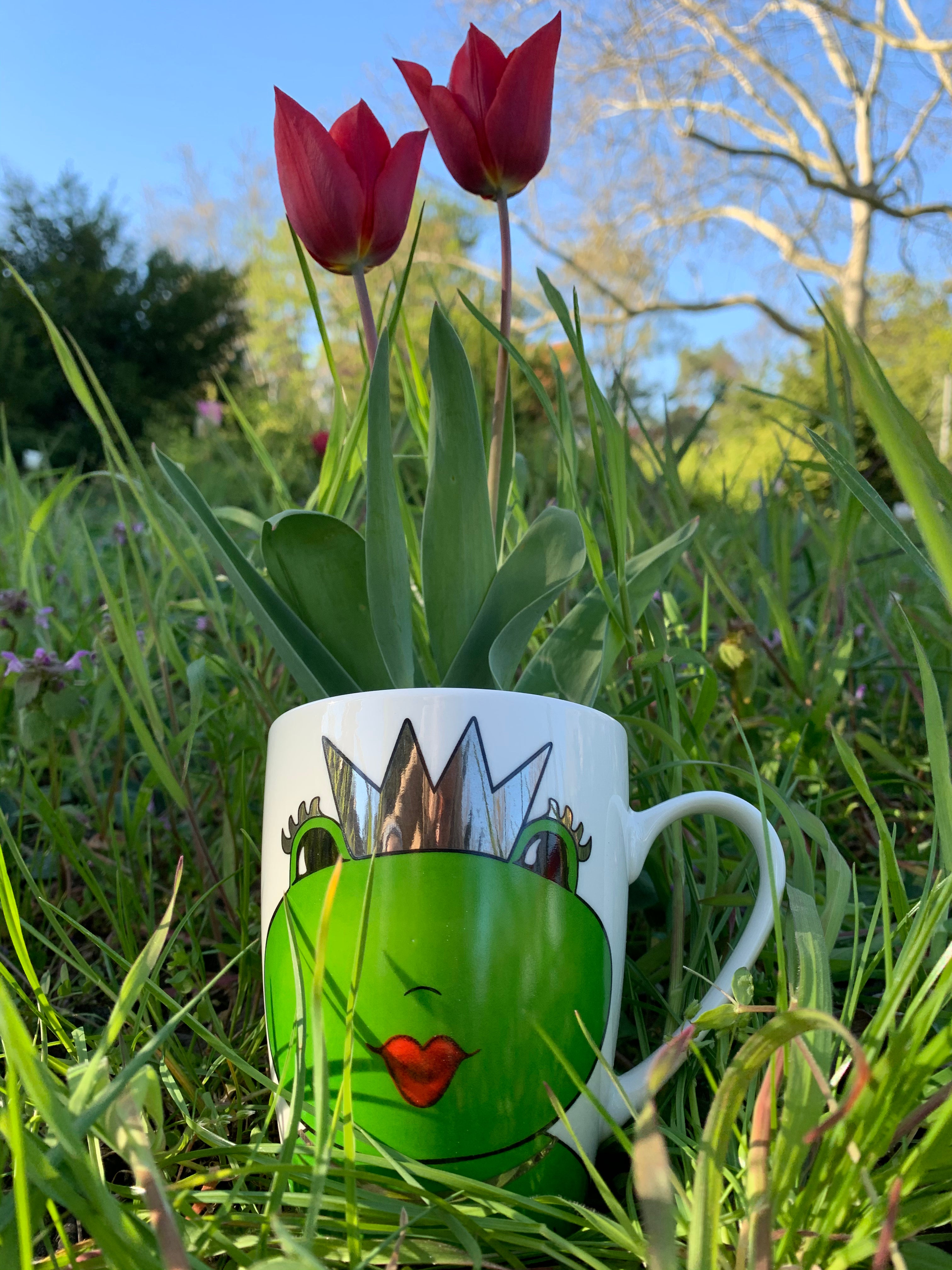 Froschkönigin Kate, Henkelbecher Tasse in Geschenkbox