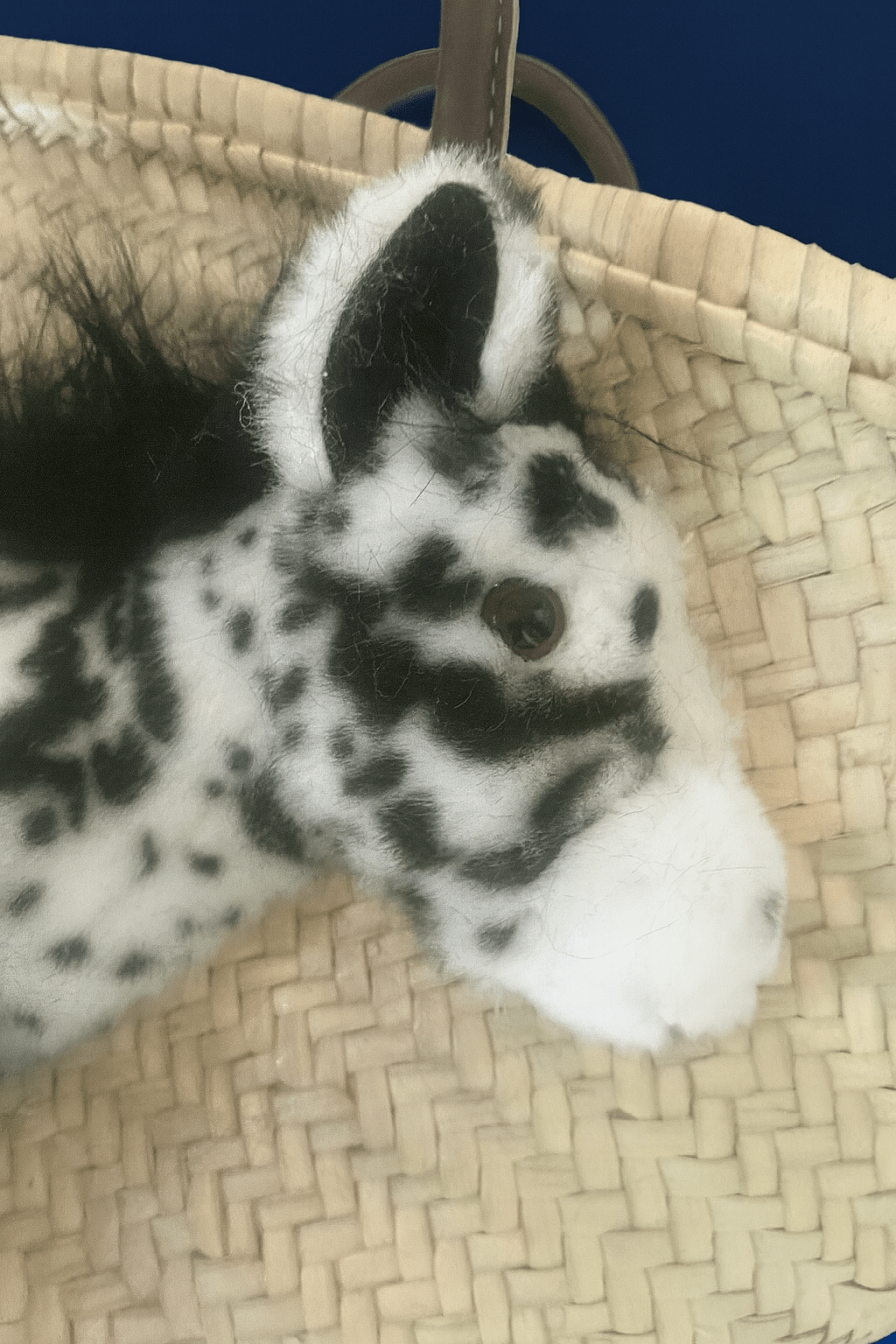 Große Korbtasche Pony Pepita, mit Ledergriffen und Ledertasche innen - ZIEGFELD Kids