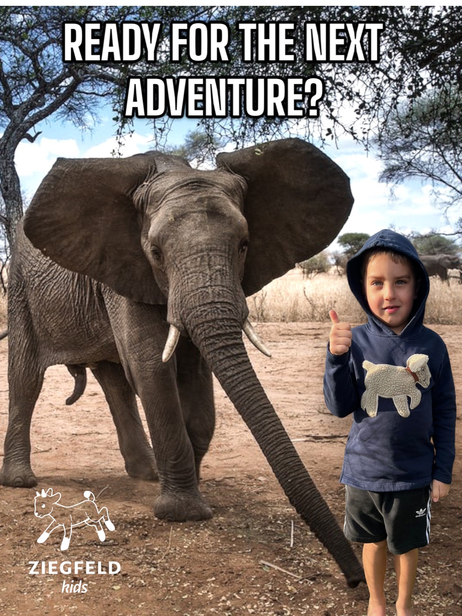 dark blau hoodie-blauer hoodie - ZIEGFELD Kids