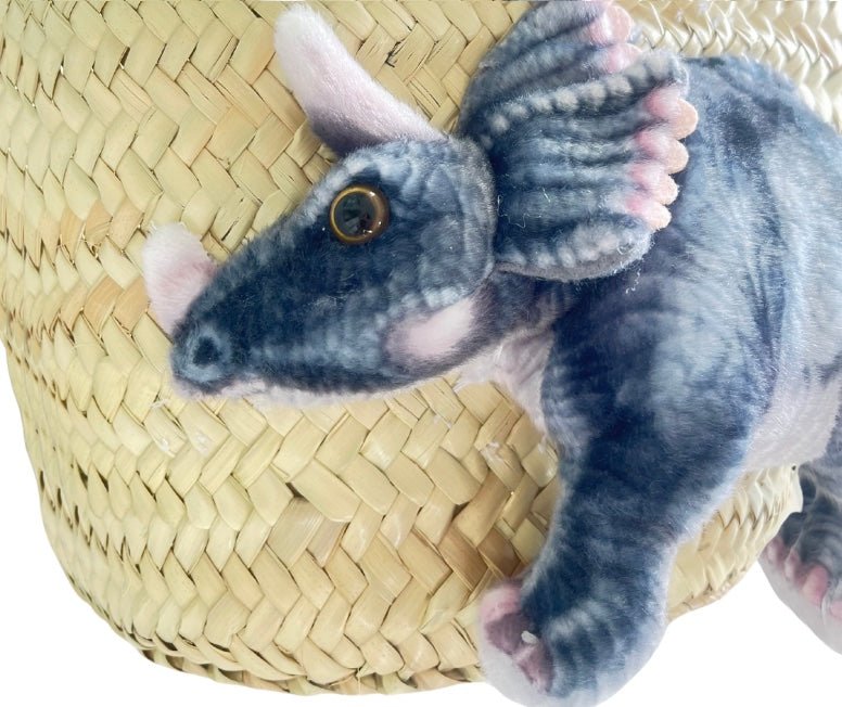 Kleine Korbtasche 3D Dino Damir - ZIEGFELD Kids