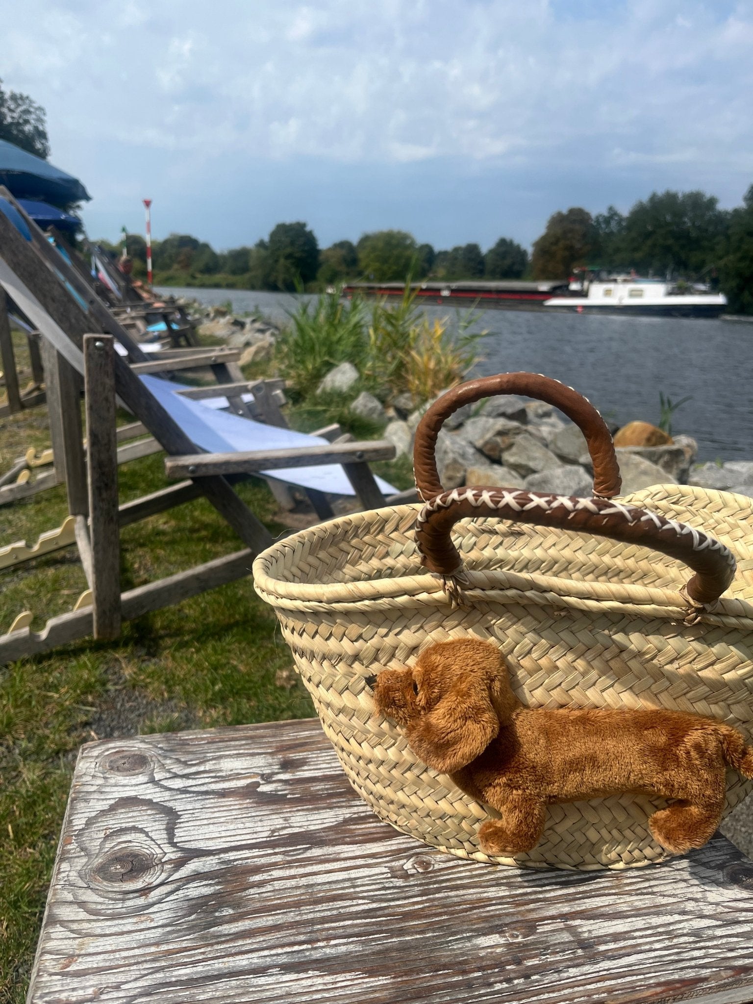 Kleine Korbtasche Dackel AUGUST mit Lederhenkeln - ZIEGFELD Kids