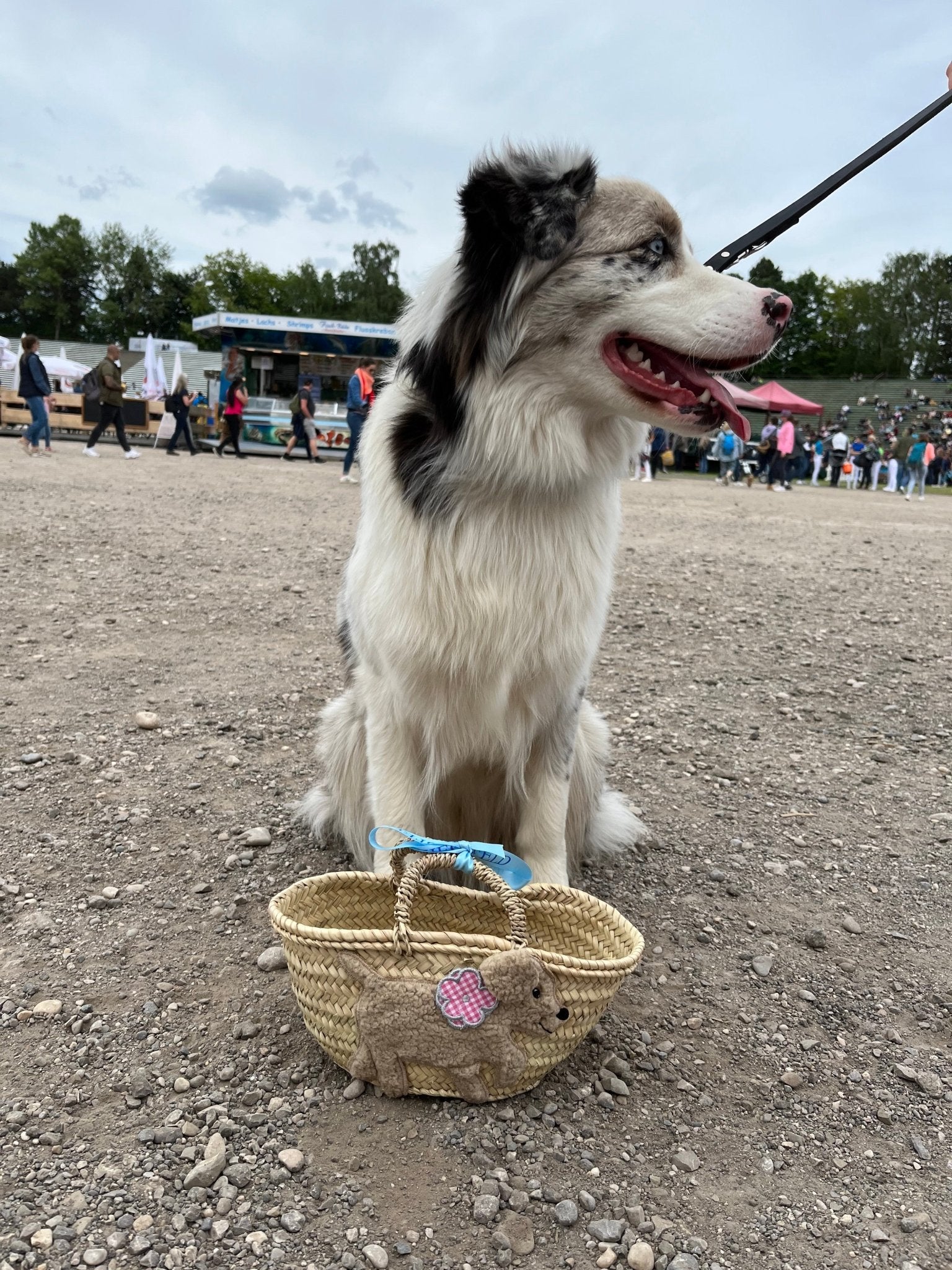 Kleine Korbtasche Hund KITTY - ZIEGFELD Kids