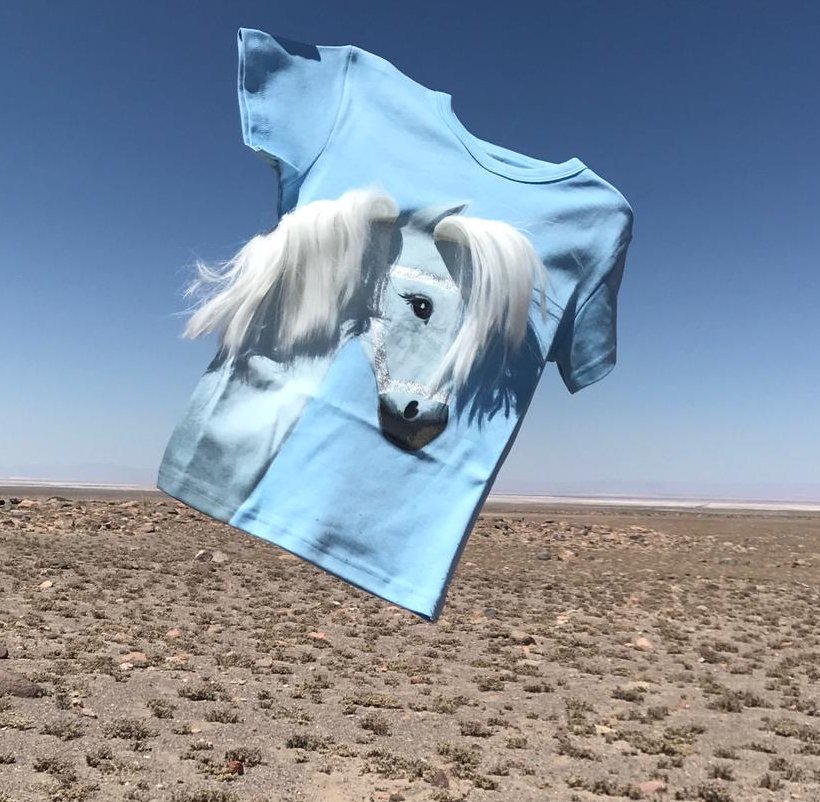 Pony Stella hellblau tshirt kurzarm- ZIEGFELD Kids