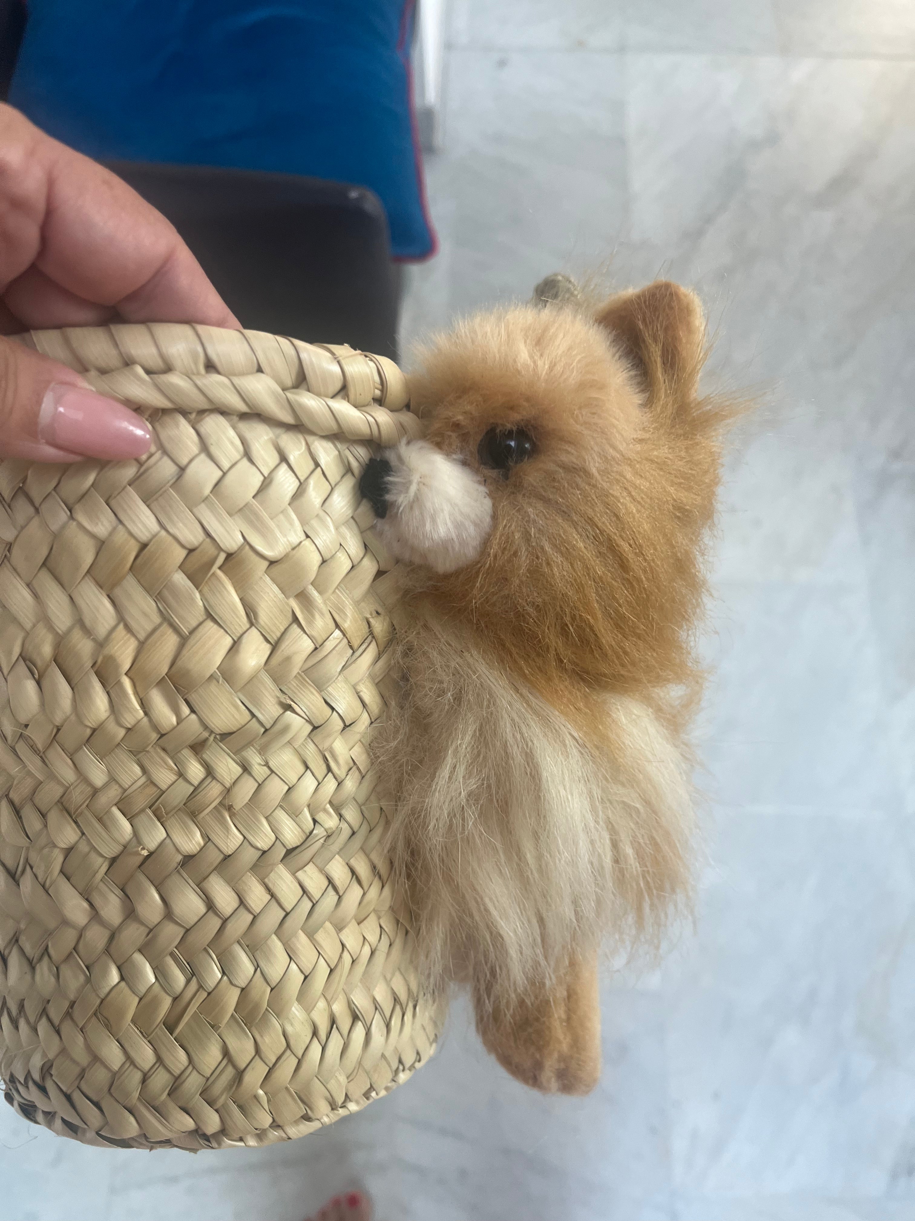 Kleine Korbtasche Pomeranian Hund