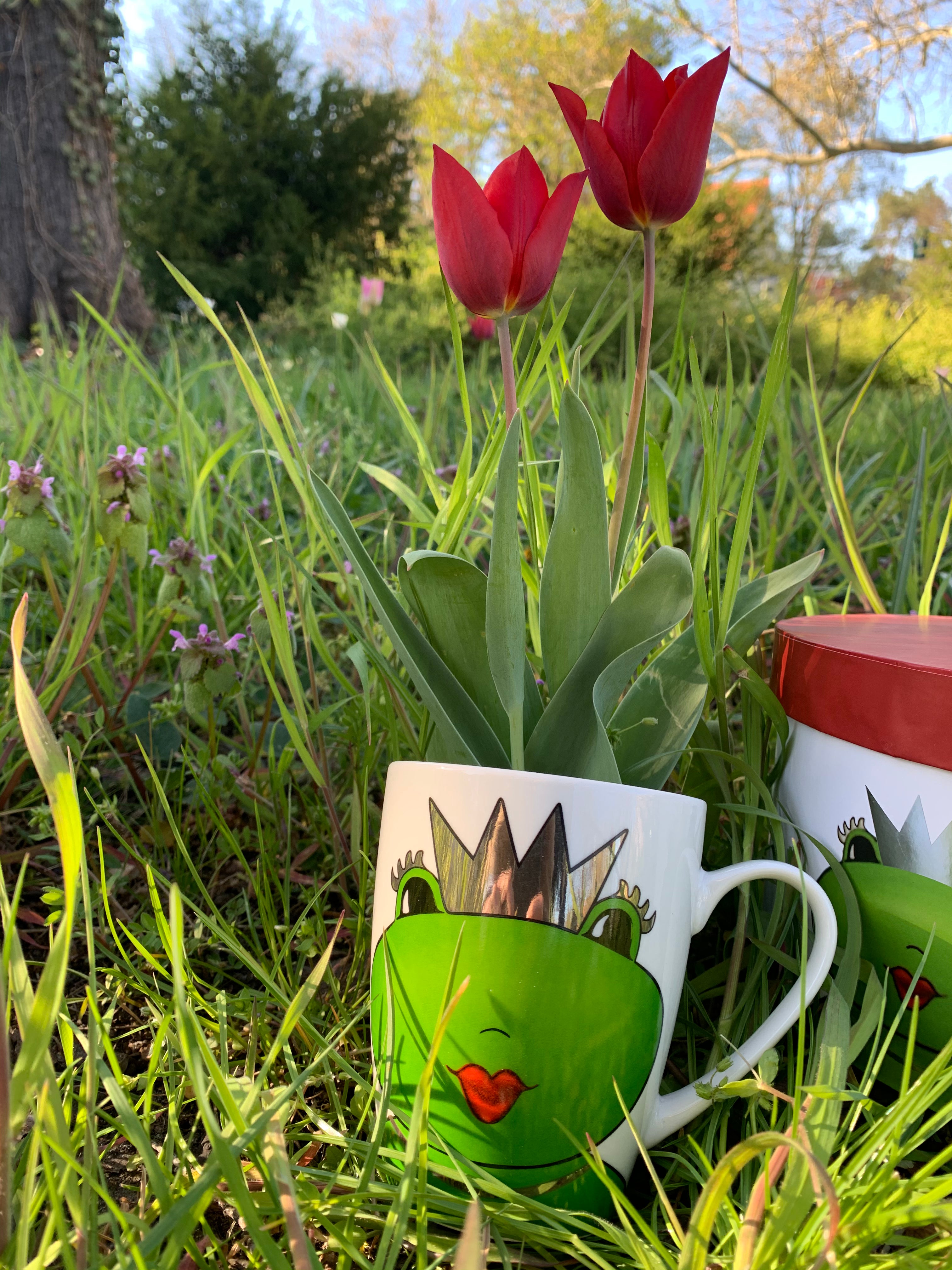 Frog Queen Kate, mug in gift box