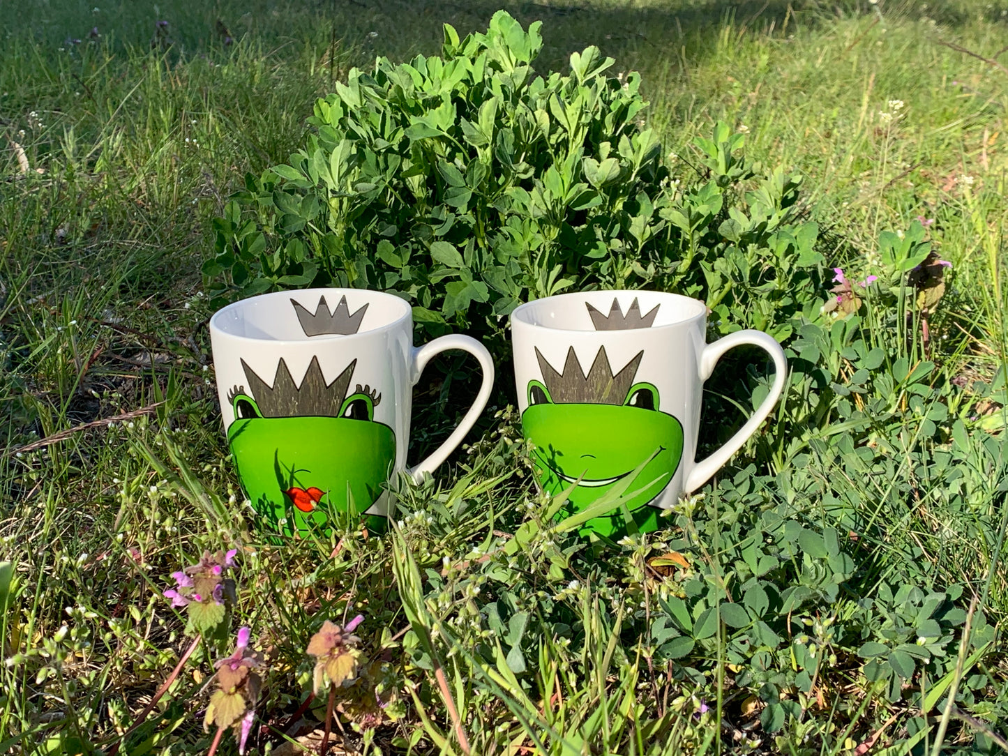 Frog queen Kate, mug in a gift box