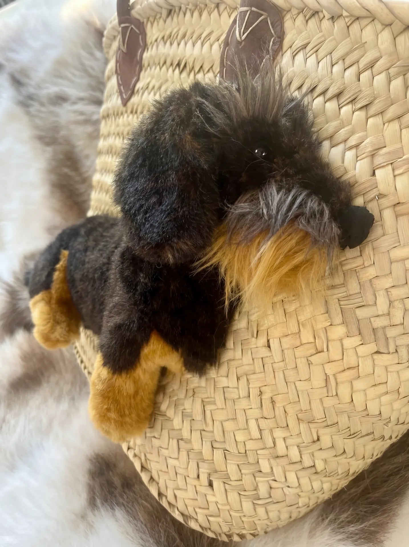 Große Korbtasche Dackel mit Rauhaardackel Oskar, mit Ledergriffen und Ledertasche innen - ZIEGFELD Kids