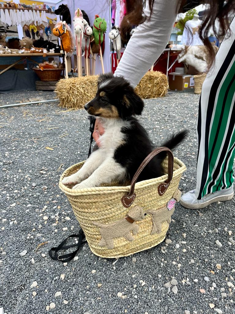 Große Korbtasche - KITTY und BOBBY aus Palmenblättern mit Ledertasche innen - ZIEGFELD Kids