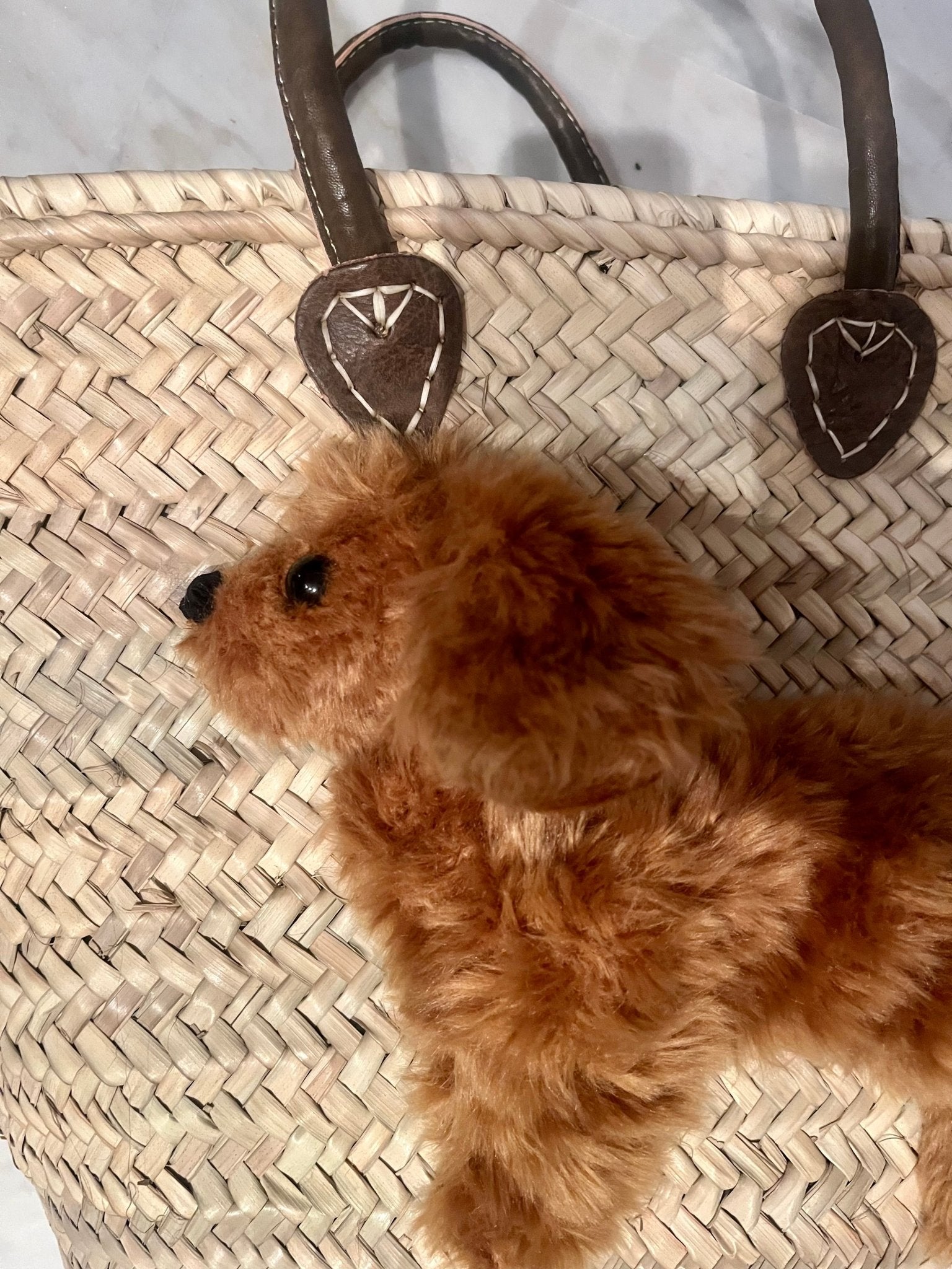 Große Korbtasche Peanut - der rote Pudel, mit Ledergriffen und Lederinnentasche - ZIEGFELD Kids