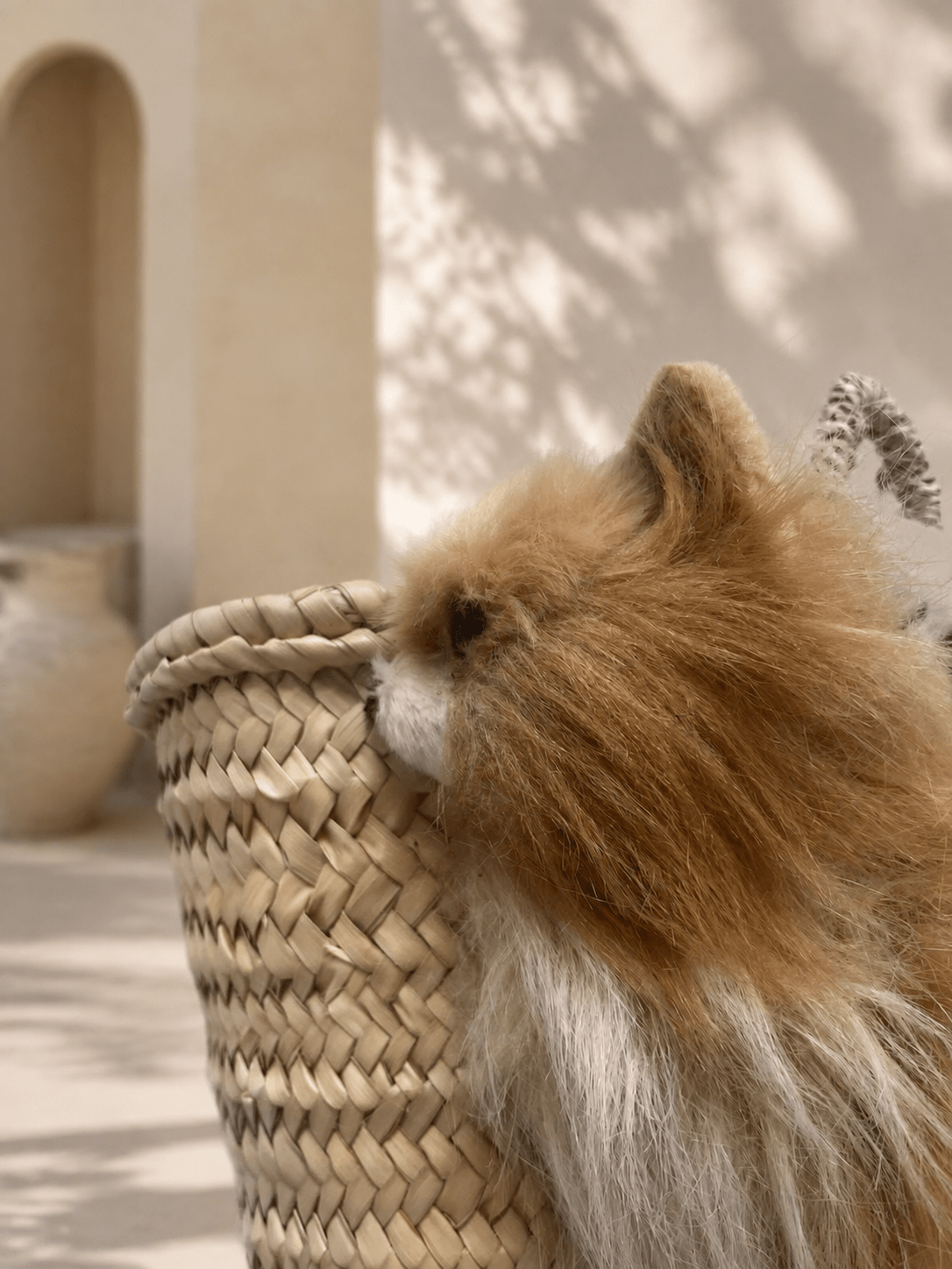Kleine Korbtasche Pomeranian - ZIEGFELD Kids