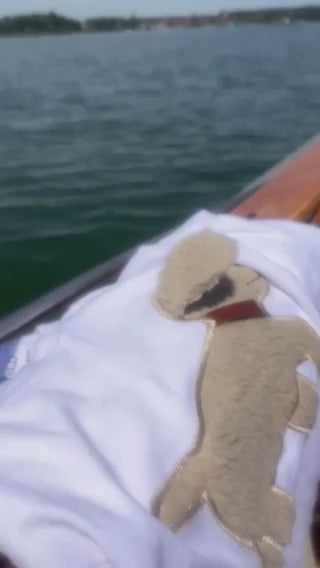 Hund BOBBY weisses T-Shirt kurzarm mit Teddyfell Applikation und Geheimtasche im Ohr
