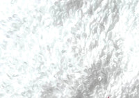 Weiss